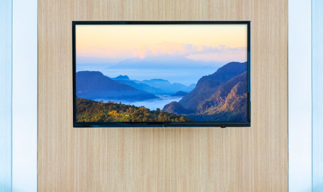 Television (LED)